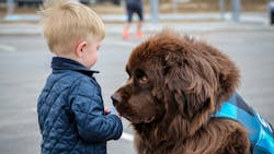 Denver International Airport is celebrating the six-year CAT-iversary of the Canine Airport Therapy Squad (CATS). Launched in 2015, this paw-some program is one of the largest airport therapy pet programs in the U.S. Denver International Airport is celebrating the six-year CAT-iversary of the Canine Airport Therapy Squad (CATS). Launched in 2015, this paw-some program is one of the largest airport therapy pet programs in the U.S.