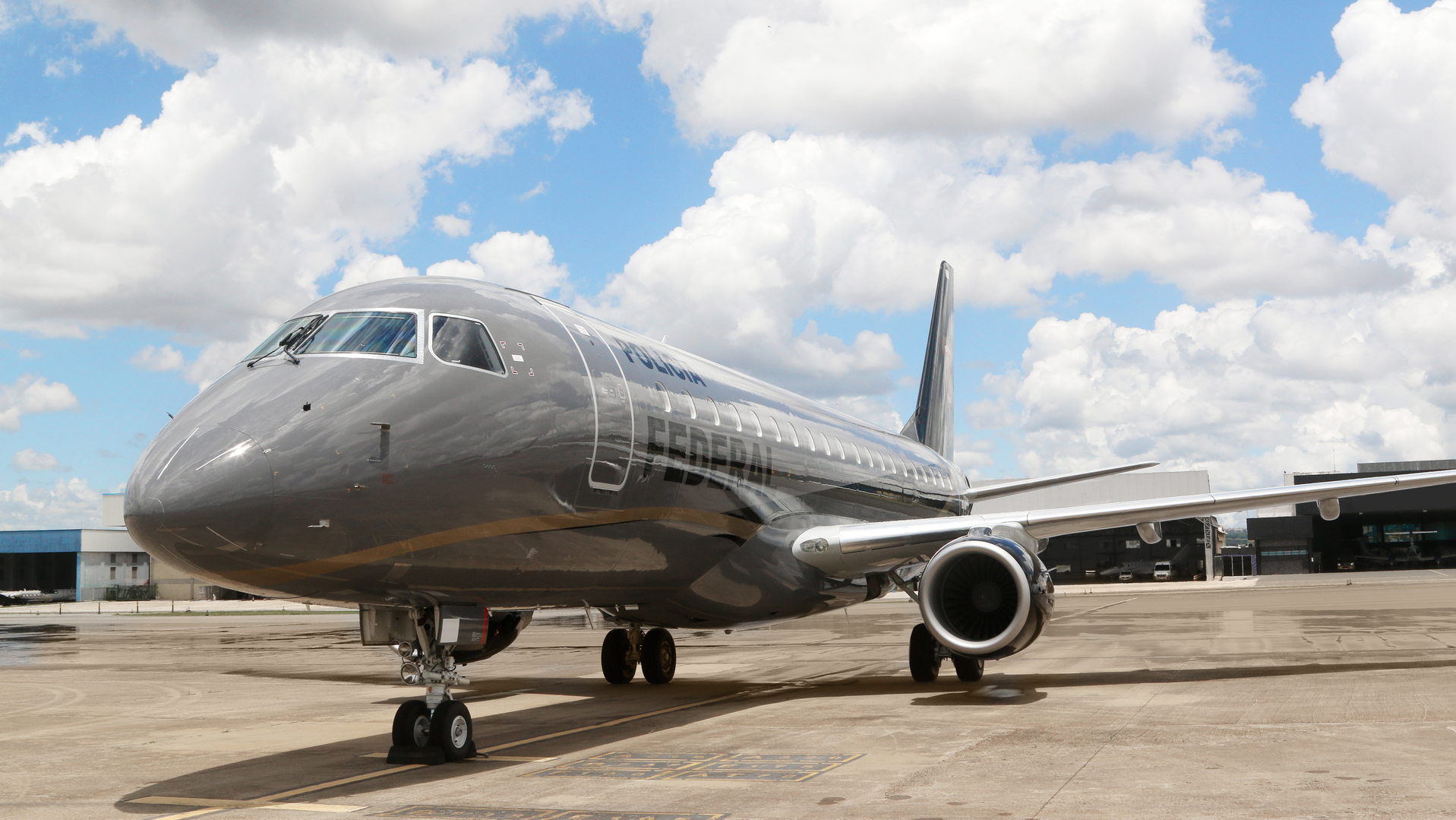 Brazil's Federal Police celebrated the arrival of the first of two E175 jets, which will soon begin operating in the country. The second jet of the E175 model is expected to be delivered to the Federal Police in 2022.