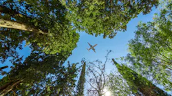 Sustainable Aviation
