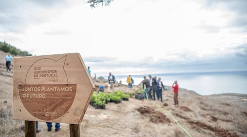 VINCI Airports teams contribute to tree planting campaigns in Tavira forest and on Porto Santo island.