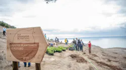 VINCI Airports teams contribute to tree planting campaigns in Tavira forest and on Porto Santo island.