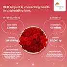 Blr Airport Rose Shipment