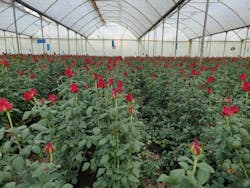 Img 20210208 Wa0003 620a66bfb88dc Img 20210208 Wa0003 620a66bfb88dc