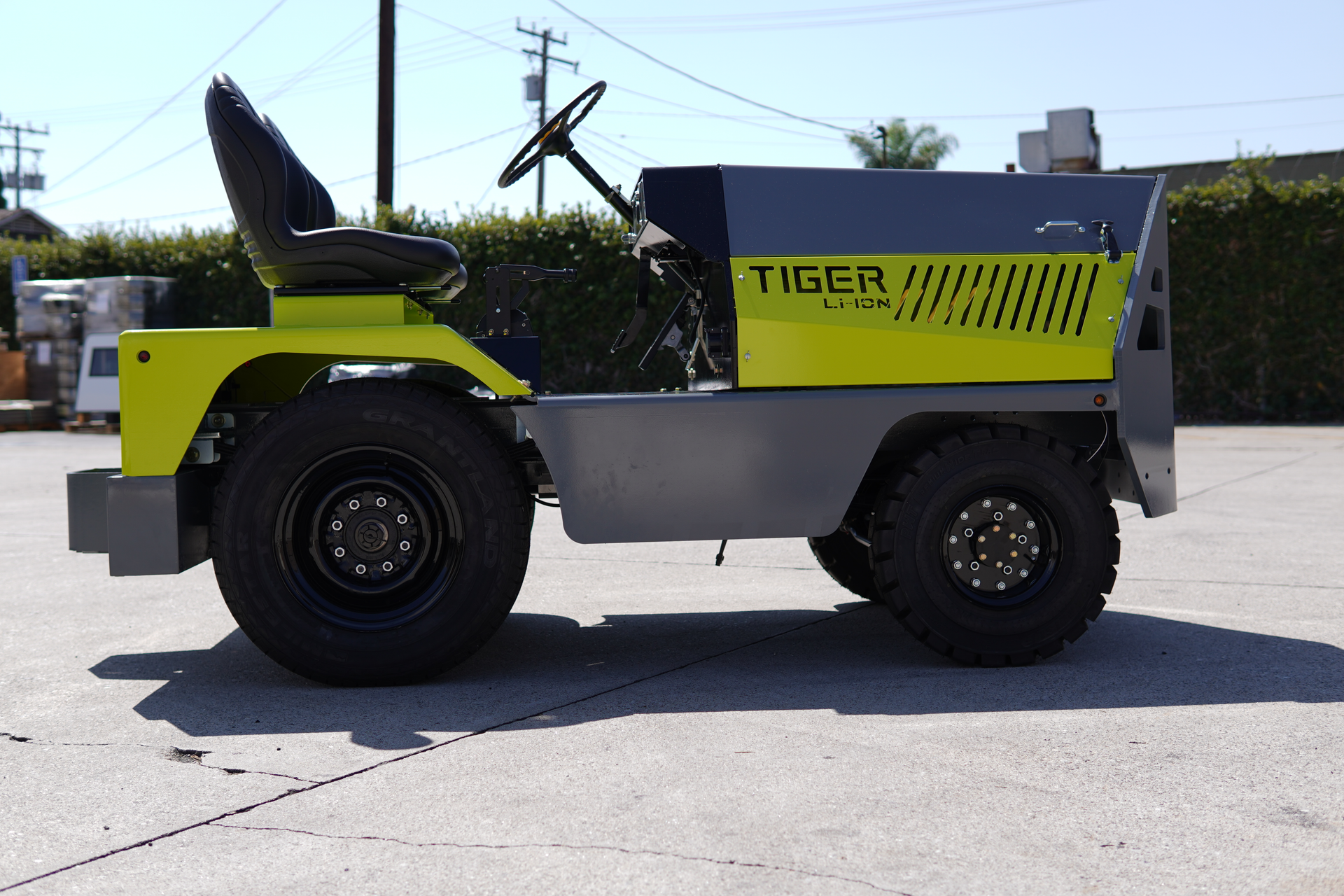 Tld Tiger Lithium Ion Images Beauty Profile 05 61562d95ee2d5