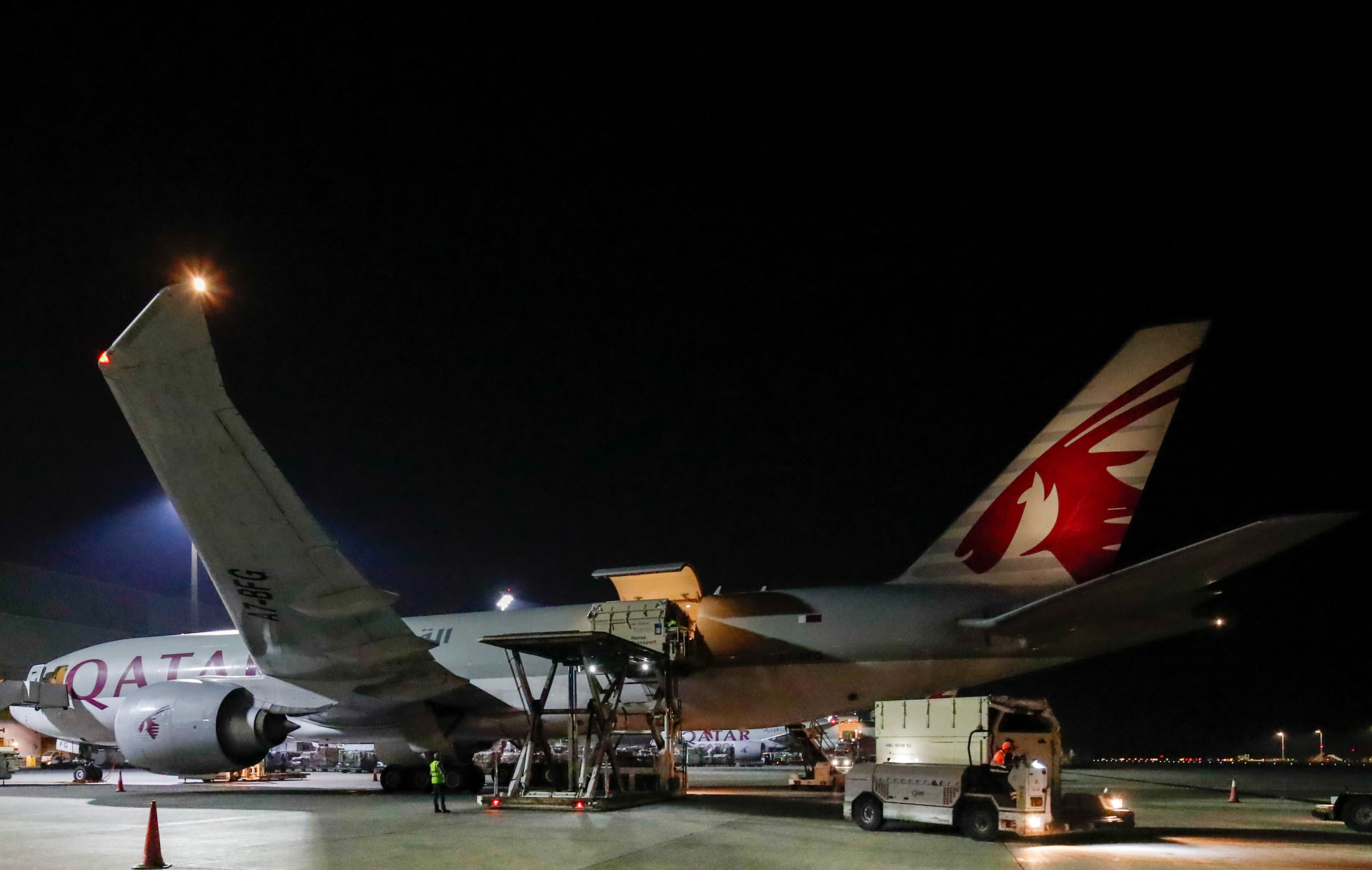 Qr %20 Cargo Is A Thoroughbred In Horse Transport