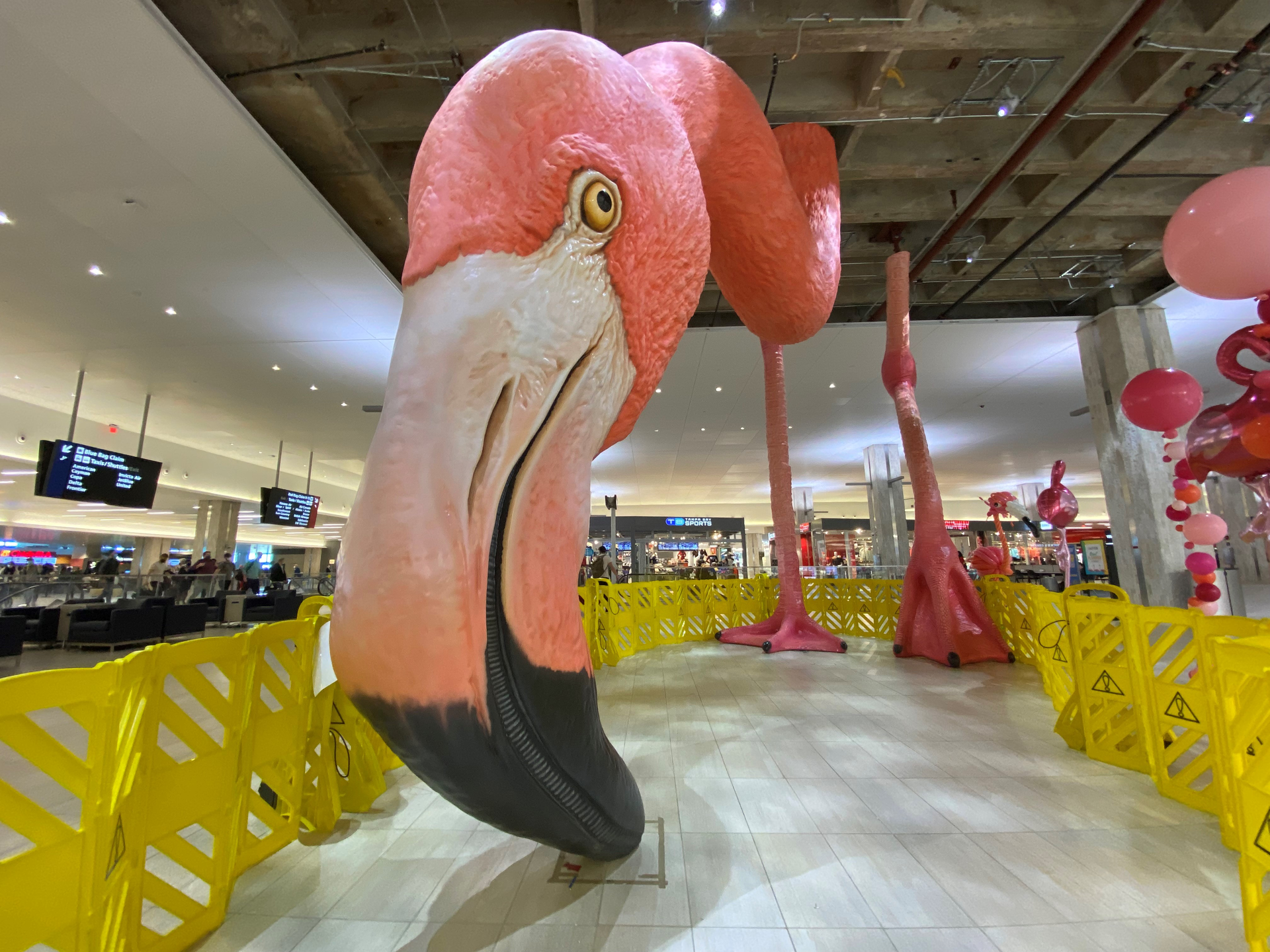 Tampa International Airport has a 21-foot flamingo sculpture in the center of its main terminal. The giant bird&rsquo;s head, neck and legs are now in place. Full completion of the project is slated for late April/early May.