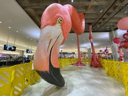 Tampa International Airport has a 21-foot flamingo sculpture in the center of its main terminal. The giant bird’s head, neck and legs are now in place. Full completion of the project is slated for late April/early May. Tampa International Airport has a 21-foot flamingo sculpture in the center of its main terminal. The giant bird’s head, neck and legs are now in place. Full completion of the project is slated for late April/early May.