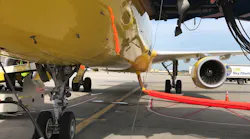 Img 1