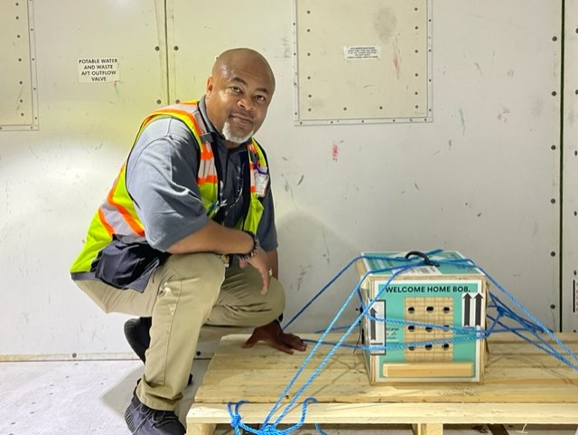 Bob Crate 62e7aec1a3f7b