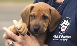 Pilots N Paws 630cbcf1bb99f Pilots N Paws 630cbcf1bb99f
