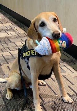 2022 Cutest Canine Eebbers 2022 Cutest Canine Eebbers