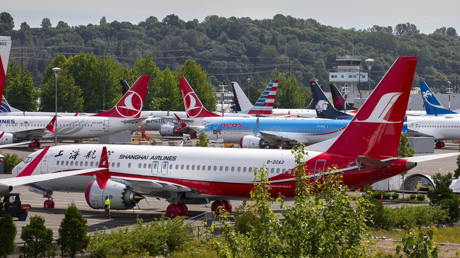 A Shanghai Airlines Boeing 737 MAX parked among other grounded MAXs across from Boeing Field in Seattle in June 2020.