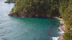 A floatplane crashed into Mutiny Bay on Sept. 4, 2022. Experts have identified a broken actuator that moves the plane’s horizontal tail that could potentially be the cause of the fatal accident that killed 10 people.