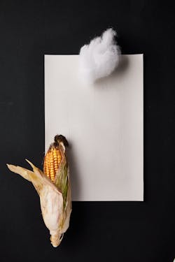 F/LIST WHISPER Leather F/LIST WHISPER Leather