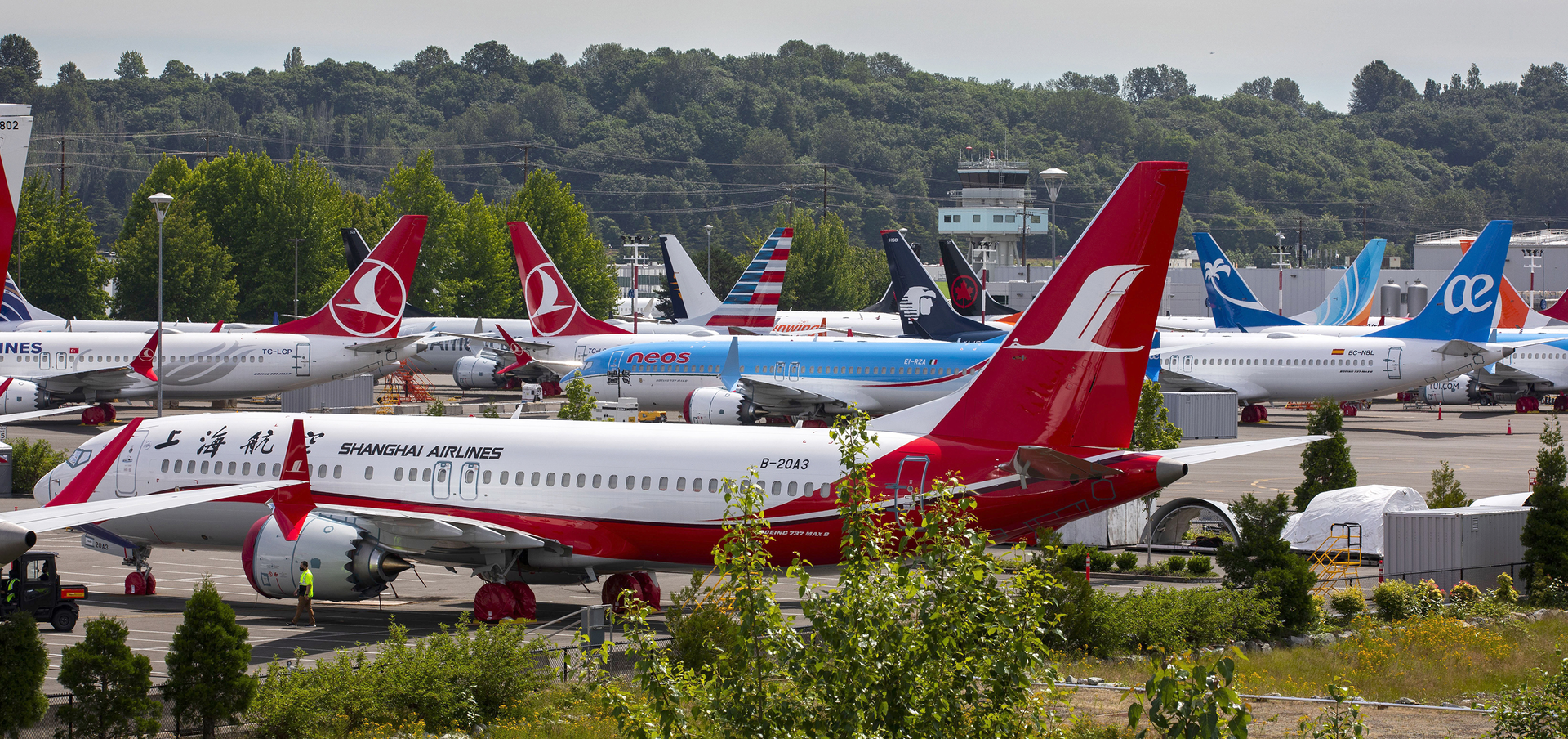 A Shanghai Airlines Boeing 737 Max parked among other grounded Maxes across from Boeing Field in Seattle in June 2020.
