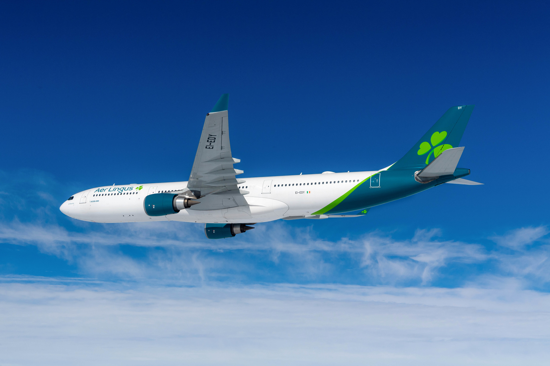 Aerlingus 459108794707385 6351473a5690c