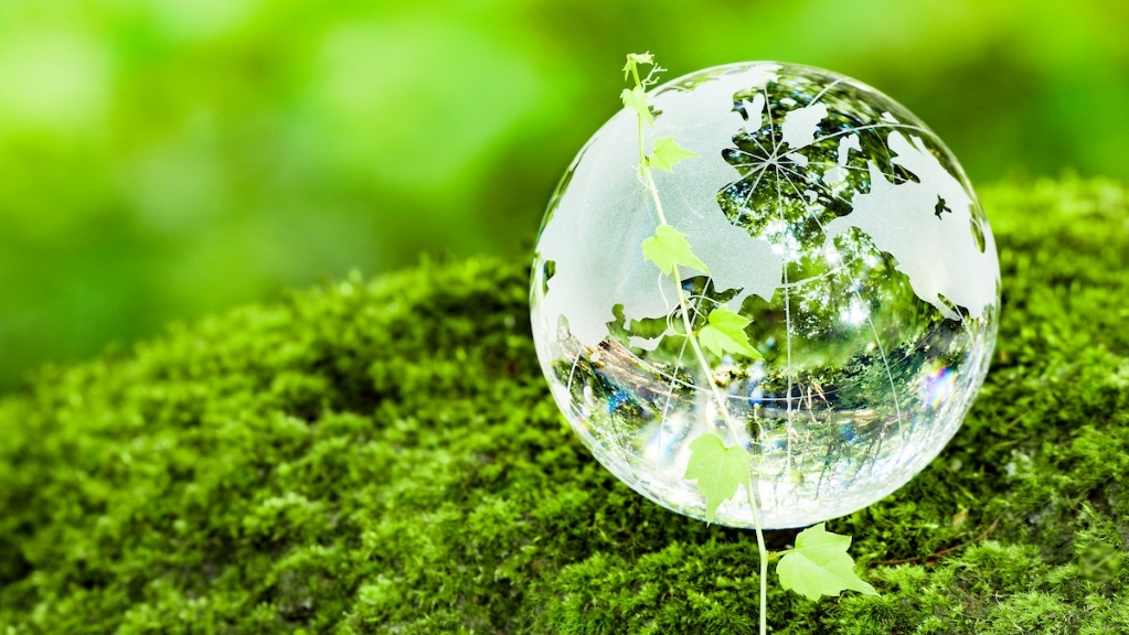 Sustainability Hero 3