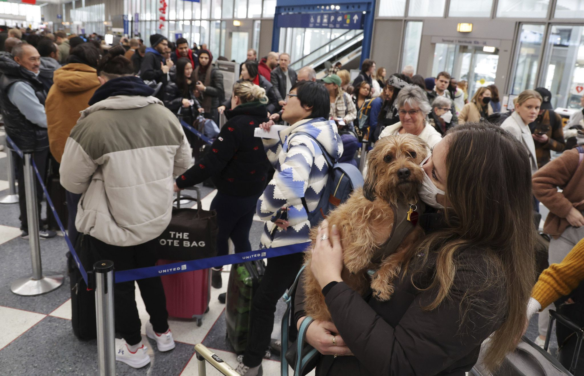 Emily Colfer and her dog, Archie, stand in the dog line in Terminal 1 at Chicago O Hare International Airport on Dec. 21, 2022. Colfer and her pup were on their way to Maine for the holiday season.