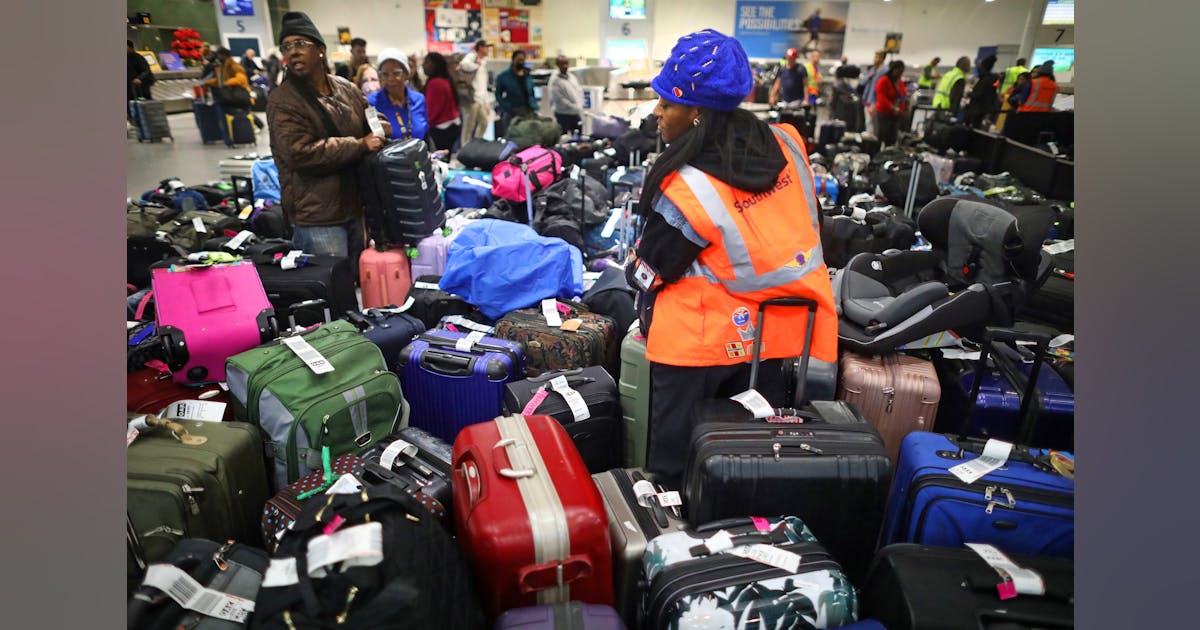 In the Wilderness The Hunt for Lost Luggage Heats up after