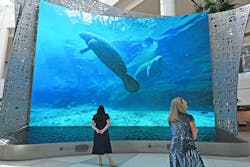 Press Kit Moment Vault 639b84c2ef4e5 Press Kit Moment Vault 639b84c2ef4e5