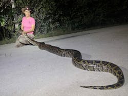 Python hunter Donna Kalil caught a 13-foot snake in the Everglades. She would not, however, be allowed to bring the snake on an airplane, as a woman in Florida found out in December of 2022. Python hunter Donna Kalil caught a 13-foot snake in the Everglades. She would not, however, be allowed to bring the snake on an airplane, as a woman in Florida found out in December of 2022.