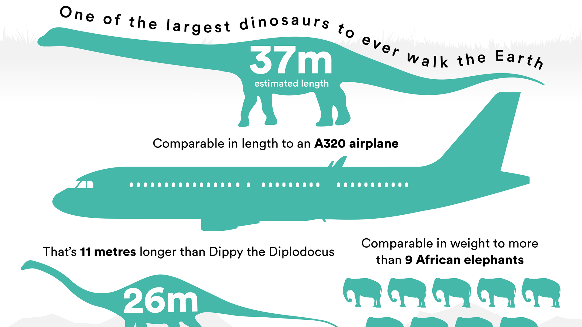 Iag Cargo Nhm Titanosaur Facts Final 4[2][3]