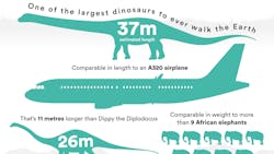 Iag Cargo Nhm Titanosaur Facts Final 4 2 3 63dbcaea3677b Iag Cargo Nhm Titanosaur Facts Final 4 2 3 63dbcaea3677b