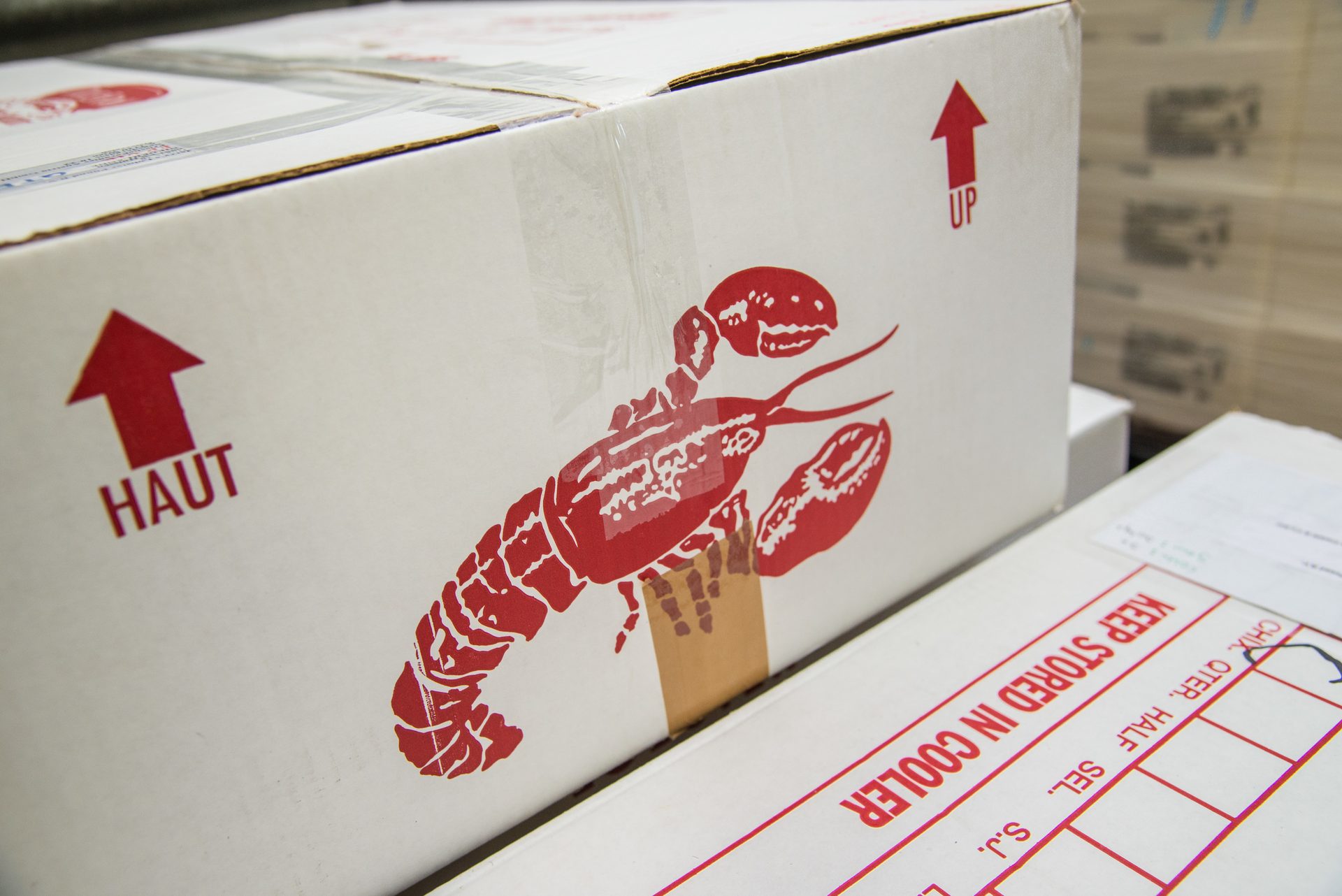 2013jul 23 Lh Cargo Perishable Center Sw 4823