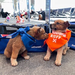 Img 6745 3 Source 63ea4afa75880 Img 6745 3 Source 63ea4afa75880