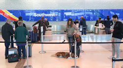 Travelers wait in line to speak with Southwest Airlines agents at the airline s ticket counter at Dallas Love Field Airport in Dallas on Wednesday, Feb. 1, 2023. Two-thirds of planned departures from all airlines at the airport were called off on Wednesday, according to flight tracking site Flightaware.com.