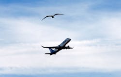 20230313 Amx Biz Heres How Dallasfort Worth Airports 1 Da 640f253dc2a55 20230313 Amx Biz Heres How Dallasfort Worth Airports 1 Da 640f253dc2a55