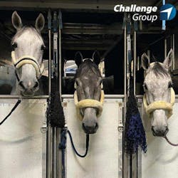 Challenge Handling The Air Cargo Horse Whisperer 64185d08891d5 Challenge Handling The Air Cargo Horse Whisperer 64185d08891d5