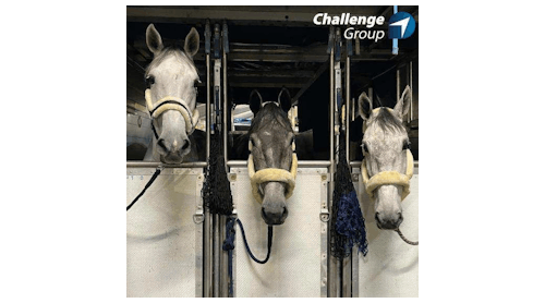 Challenge Handling The Air Cargo Horse Whisperer