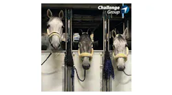 Challenge Handling The Air Cargo Horse Whisperer