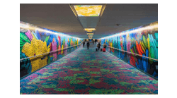 Aquarius art tunnel