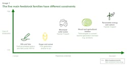 Image1 The Five Main Feedstock Families Have Different Constraints Image1 The Five Main Feedstock Families Have Different Constraints