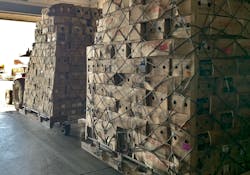 Flowers 64622921898c6 Flowers 64622921898c6