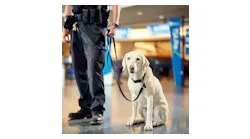 Explosive detection canine Lubo at Boise Airport where he works as an added layer of security along with his Boise Police Department handler Anthony.