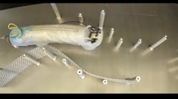 Sensiworm Photo 3 Sensiworm Photo 3