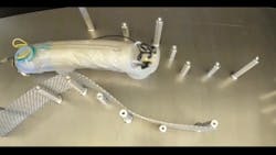 Sensiworm Photo 3 6514855d35b57 Sensiworm Photo 3 6514855d35b57