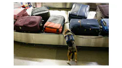 Agriculture detection K-9 Merla, a 4-year-old beagle, screens international luggage inside Terminal D, Tuesday, Aug. 8, 2023 at DFW International Airport. Merla is trained to detect certain types of fruit, vegetables and meat that are not allowed inside traveler s luggage.
