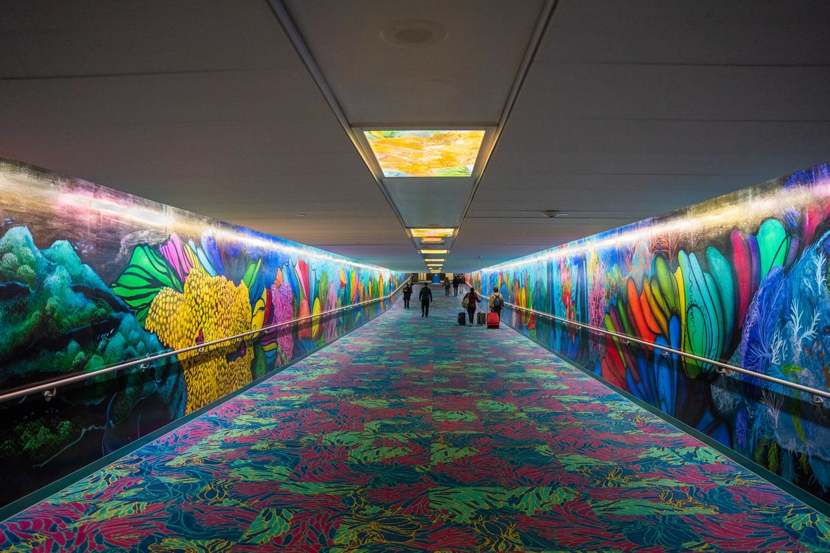 6e0b496a D868 4172 8cba 07dcae9e050d