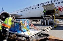 Schoona arrived at Air Canada Cargo’s Vancouver facility in a special crate three hours before her flight, and was kept in a warm environment until it was time for her to be loaded onto the aircraft. Her flight to Toronto was on a Boeing 787 Dreamliner and the cargo hold’s temperature was controlled to keep her comfortable during the four-hour journey onboard. Schoona arrived at Air Canada Cargo’s Vancouver facility in a special crate three hours before her flight, and was kept in a warm environment until it was time for her to be loaded onto the aircraft. Her flight to Toronto was on a Boeing 787 Dreamliner and the cargo hold’s temperature was controlled to keep her comfortable during the four-hour journey onboard.