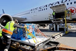 Schoona arrived at Air Canada Cargo’s Vancouver facility in a special crate three hours before her flight, and was kept in a warm environment until it was time for her to be loaded onto the aircraft. Her flight to Toronto was on a Boeing 787 Dreamliner and the cargo hold’s temperature was controlled to keep her comfortable during the four-hour journey onboard. Schoona arrived at Air Canada Cargo’s Vancouver facility in a special crate three hours before her flight, and was kept in a warm environment until it was time for her to be loaded onto the aircraft. Her flight to Toronto was on a Boeing 787 Dreamliner and the cargo hold’s temperature was controlled to keep her comfortable during the four-hour journey onboard.