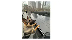 TSA passenger screening canine Maly, whose specialty is explosives detection, works at JFK International Airport. Here he paid a visit to the 9/11 Memorial in New York City.