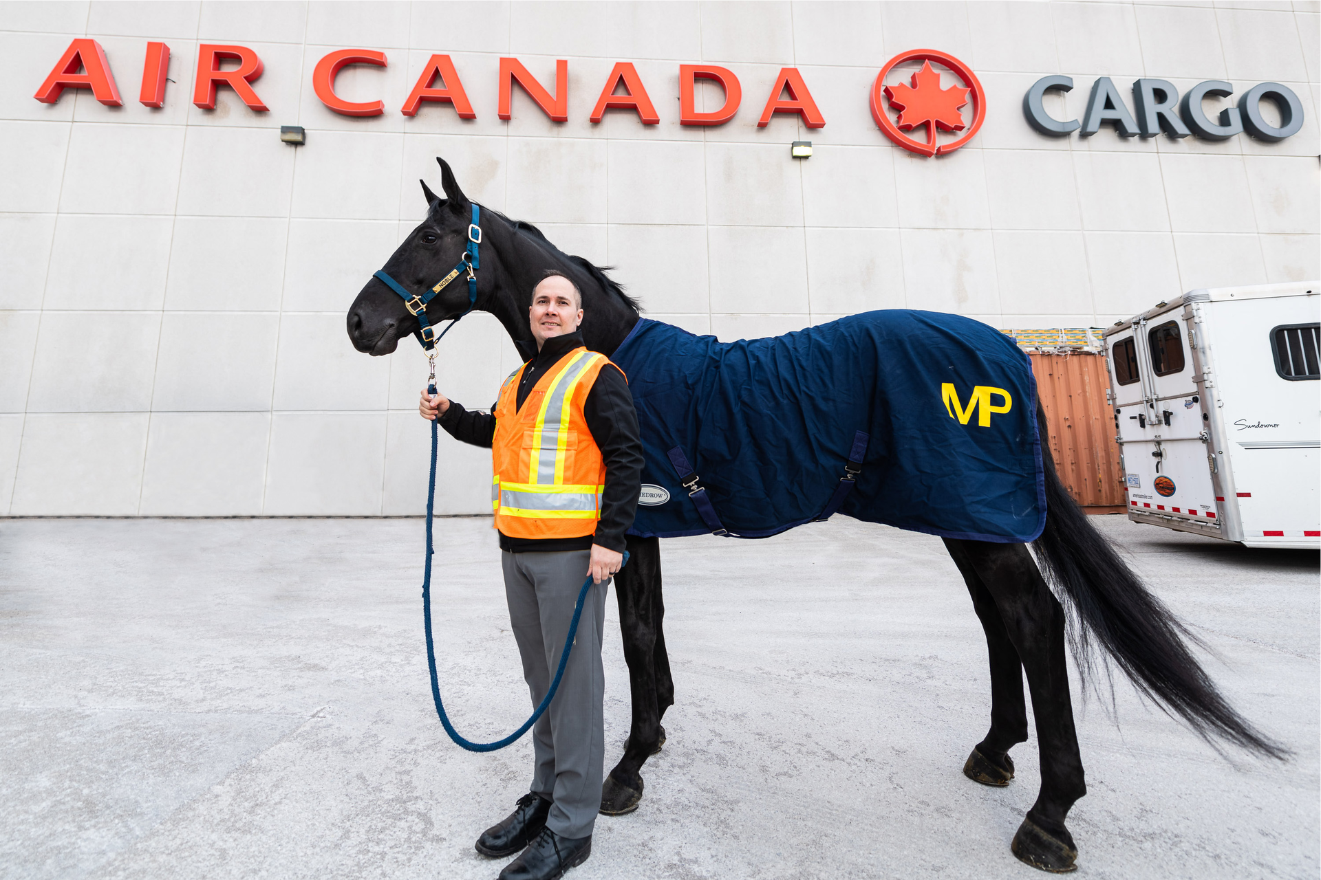 Air Canada Cargo&rsquo;s first equine transport was Noble, a gift from the Royal Canadian Mounted Police to King Charles III in March, ahead of his coronation ceremony.