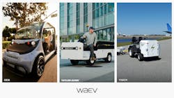 654024fa516a38001eb8a6e9 Waevincevportfoliogemtaylordunntiger 654024fa516a38001eb8a6e9 Waevincevportfoliogemtaylordunntiger