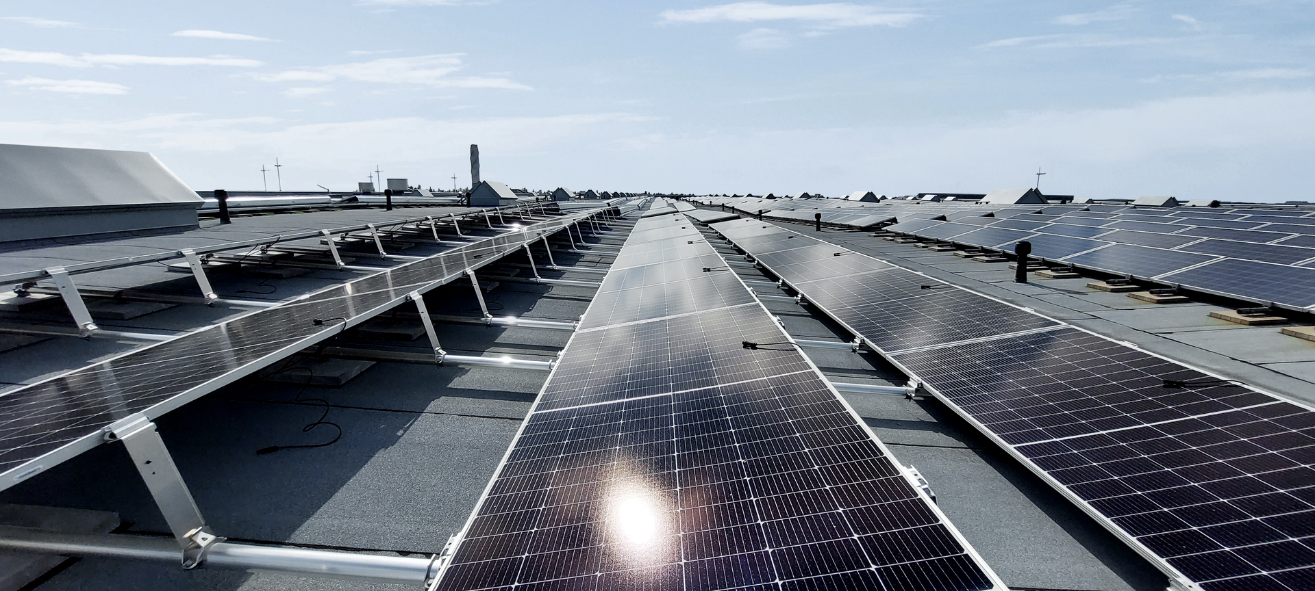 Be8ba8a4efd9f7f4 Org 653fac675f9d0