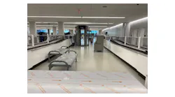 Clt 1