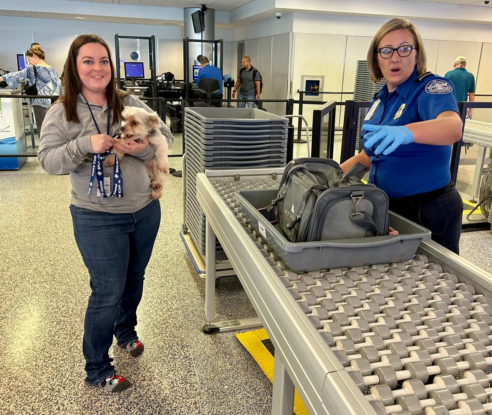 TSA Tips on Traveling With Pets Through a Security Checkpoint at Buffalo Niagara International